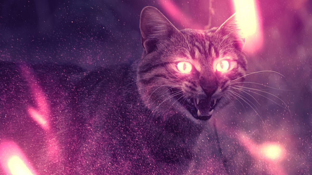 Až začne kočka svítit, je zle. Vědci vymysleli varování před radioaktivitou